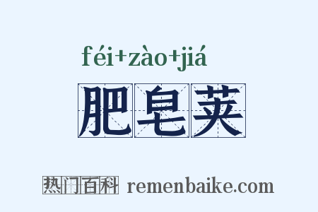 肥皂荚是什么意思的图片